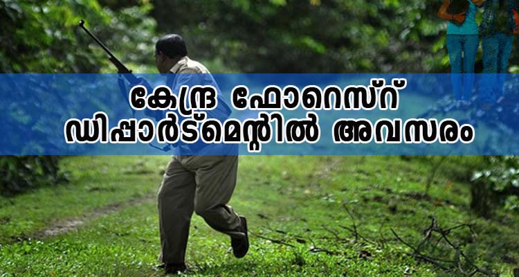 കേന്ദ്ര ഫോറെസ്റ് ഡിപ്പാർട്മെന്റിൽ അവസരം