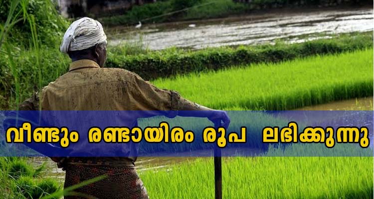 കേന്ദ്ര  സർക്കാർ ധനസഹായം