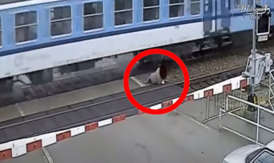 ഏറ്റവും വലിയ ഭാഗ്യവാന്മാർ