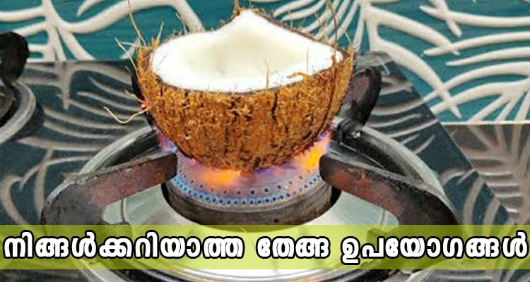 തേങ്ങാ കൊണ്ട് ഇങ്ങനെ ചെയ്തു നോക്കിയിട്ടുണ്ടോ