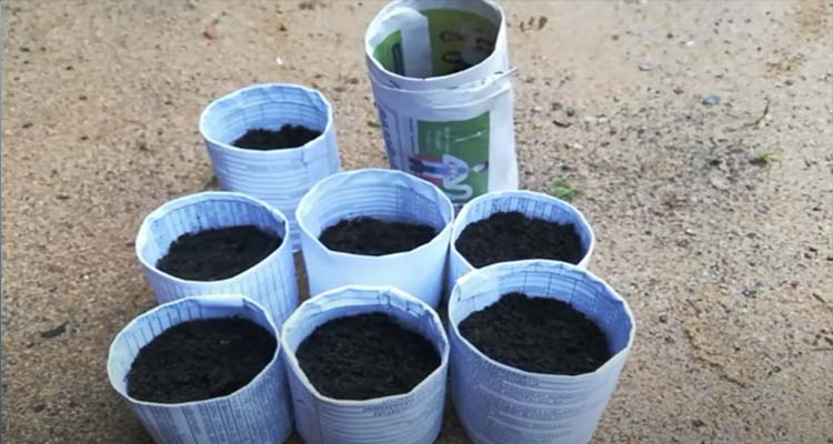 പേപ്പർ ഗ്രോ ബാഗുകൾ തയാറാക്കാം