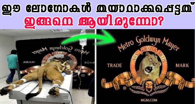 ലോഗോകൾ തയാറാക്കിയത് ഇങ്ങനെയോ ?