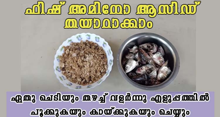 ഏതു ചെടിയും ഇരട്ടി വേഗത്തിൽ പുഷ്പിച്ച് കായ്ക്കും