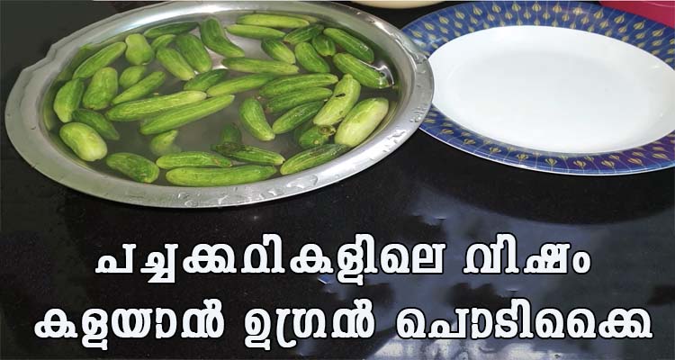 പച്ചക്കറികളിലെ വിഷം കളയാൻ ഉഗ്രൻ പൊടിക്കൈ