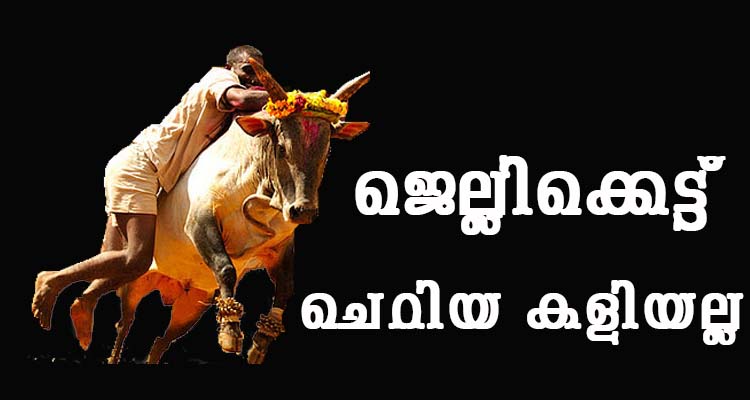 ജെല്ലിക്കെട്ടിനെ കുറിച്ഛ് നിങ്ങൾക്കെന്തറിയാം