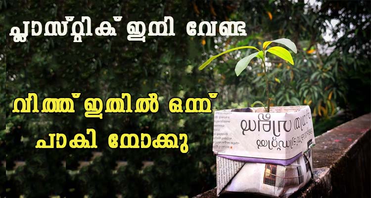 പേപ്പർ സീഡ് ട്രേ