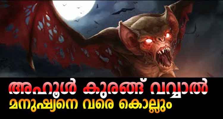 2 അടി വീതിയുള്ള ചിറകുകളും,കുരങ്ങിന്റെ മുഖവും