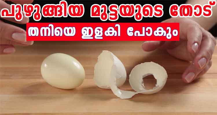 100 പുഴുങ്ങിയ മുട്ടയുടെ തോട് കളയാൻ വെറും 10 സെക്കന്റ് മതി
