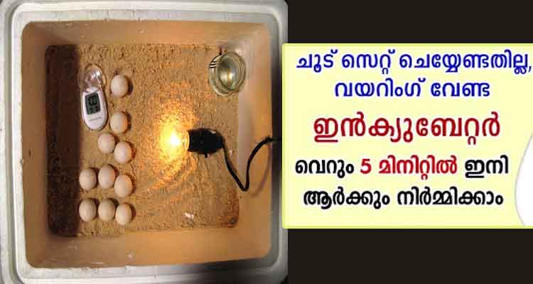 മുട്ട വിരിയിക്കുന്ന ഇങ്കുബേറ്റർ 5 മിനുട്ടിൽ റെഡി