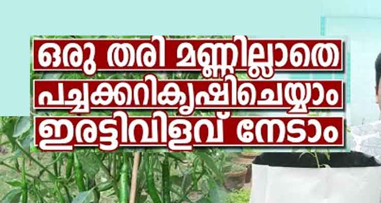 ഒരു തരി മണ്ണില്ലാതെ ഇരട്ടി വിളവ് ലഭിക്കുന്ന കൃഷി രീതി