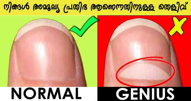 ലോകം മാറ്റി മറിക്കാൻ ശേഷി ഉള്ള ജീനിയസുകൾ ഈ ലക്ഷണങ്ങൾ ഉള്ളവരാണ്