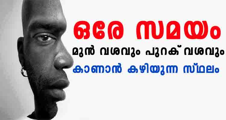 മുൻവശവും പുറകെ വശവും ഒരേ സമയം കാണാൻ കഴിയുന്ന വിചിത്ര സ്ഥലം