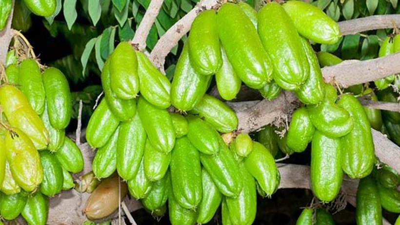 ബാത്‌റൂമിലെ കടുത്ത കറകൾ കളയാൻ ഇത് മതി.