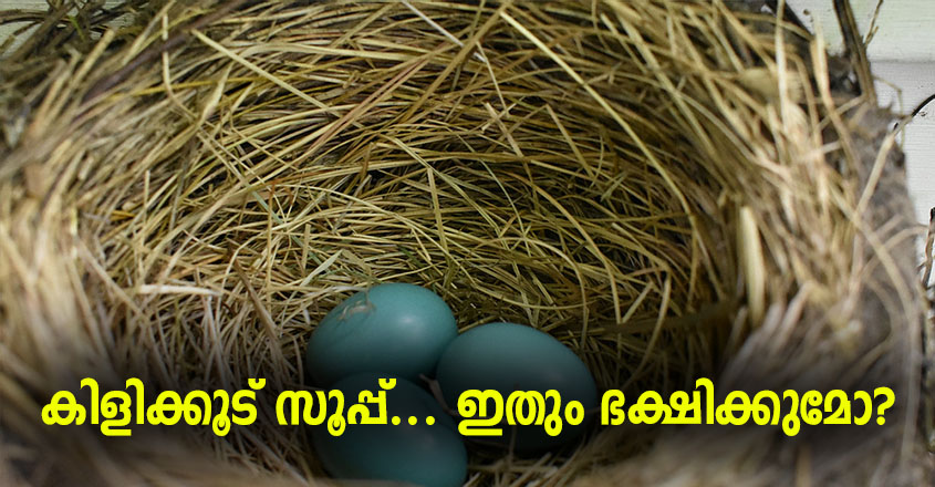 കിളിക്കൂട് സൂപ്പ്, സൂപ്പിന്റെ വില കേട്ടാൽ ആരും ഞെട്ടും.