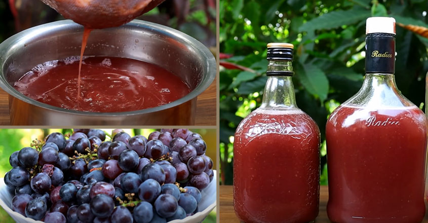 21 ദിവസ്സം കൊണ്ട് തയ്യാറാക്കി എടുക്കുന്ന മുന്തിരി വൈൻ അതെ വീര്യത്തോട് കൂടി 3 ദിവസം കൊണ്ട് തയ്യാറാക്കി എടുക്കാം