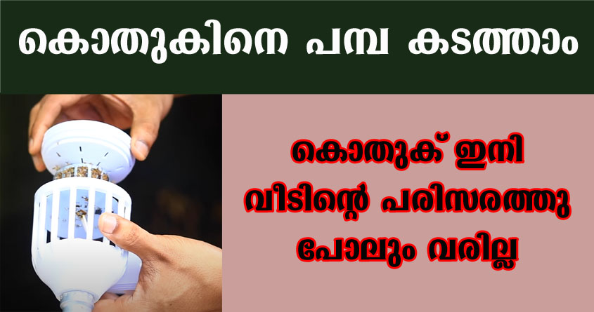 ഇനി കൊതുകും പ്രാണികളും നമ്മുടെ പരിസരത്തുപോലും വരില്ല