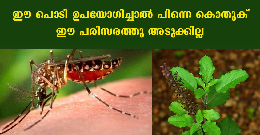 കൊതുക് ഇനി ഈ പഞ്ചായത്തിൽ അടുക്കില്ല.