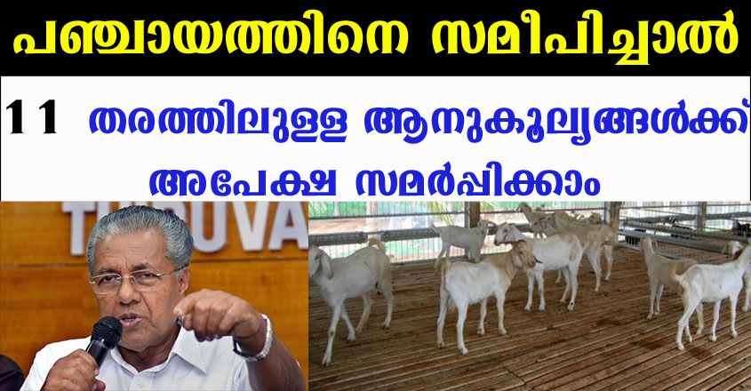 പഞ്ചായത്തിനെ സമീപിച്ചാൽ 11 ആനുകൂല്യങ്ങൾക്ക് അപേക്ഷിക്കാം