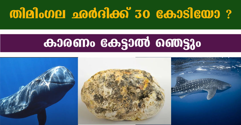 തിമിംഗല ഛർദിക്ക് 30 കോടിയോ ?