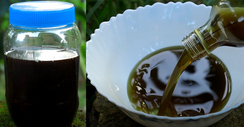 നരച്ച മുടിയും, മുടികൊഴിച്ചിലും നിങ്ങളെ അസ്വസ്ഥരാക്കുന്നുണ്ടോ ? എങ്കിൽ ഈ എണ്ണ ഉപയോഗിച്ച് നോക്കൂ