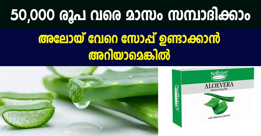 കറ്റാർ വാഴ  സോപ്പ് ഉണ്ടാക്കാൻ ഇനി 50,000 രൂപ വരെ മാസം സഭാധിക്കാം