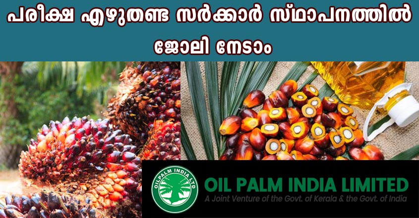 പരീക്ഷയില്ലാതെ സർക്കാർ ജോലി നേടാനുള്ള സുവർണ്ണാവസരം
