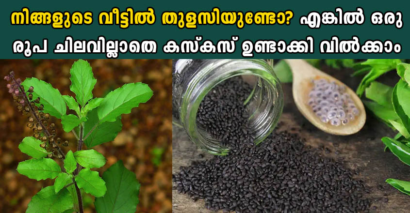 തുളസിയില നിന്ന് കസ്ക്കസ് ഉണ്ടാക്കുന്ന ശരിയായ രീതി ഇതാണ്