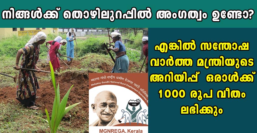 നിങ്ങൾക്ക് തൊഴിലുറപ്പിൽ അംഗത്വം ഉണ്ടോ? എങ്കിൽ സന്തോഷ വാർത്ത മന്ത്രിയുടെ അറിയിപ്പ് 1000 രൂപ ലഭിക്കും