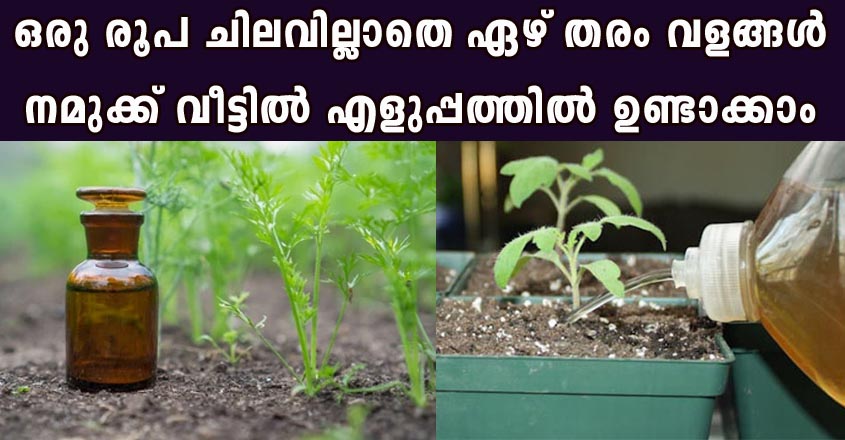 ഒരു രൂപ ചിലവില്ലാതെ തന്നെ ഏഴ് തരം വളങ്ങൾ നമുക്ക് വീട്ടിൽ തന്നെ എളുപ്പത്തിൽ ഉണ്ടാക്കാം.