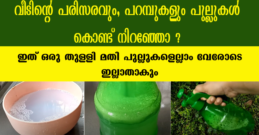 വീടിൻ്റെ പരിസരവും, പറമ്പുകളും പുല്ലുകൾ കൊണ്ട് നിറഞ്ഞോ ? എങ്കിൽ ഇത് ഒരു തുള്ളി തളിച്ചാൽ മതി വേരോടെ ഇല്ലാതാകും