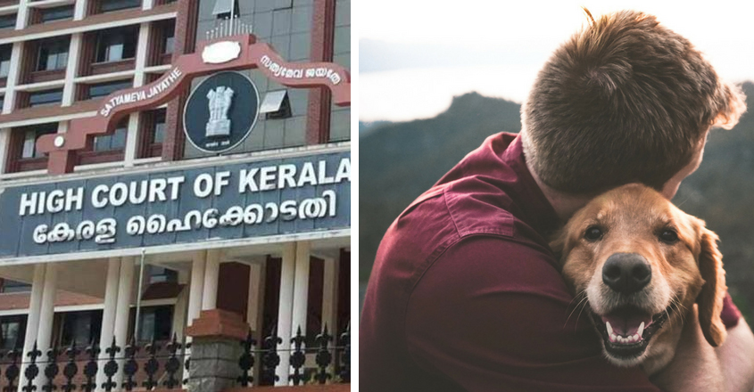 വളർത്തു മൃഗങ്ങൾ വീട്ടിലുണ്ടോ ? എങ്കിൽ പെട്ടന്ന് തന്നെ ലൈസൻസും, രെജിസ്ട്രേഷനും എടുത്തോളൂ. ഇല്ലെങ്കിൽ കുടുങ്ങും